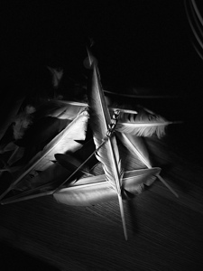 Heather and Feathers